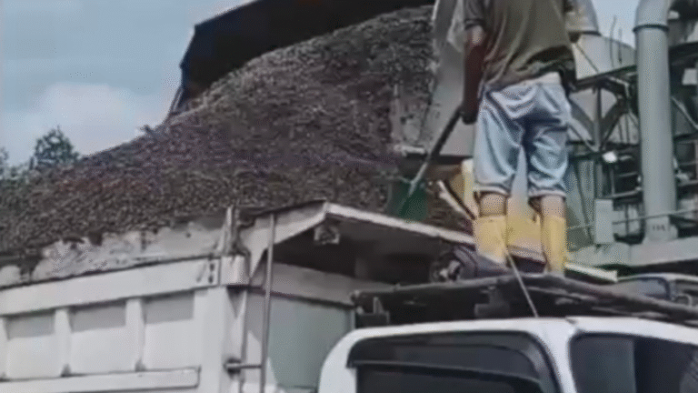 Proses Produksi Bungkil Sawit