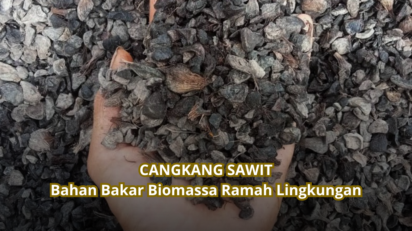 Supplier Cangkang Sawit – Bahan Bakar Biomassa
