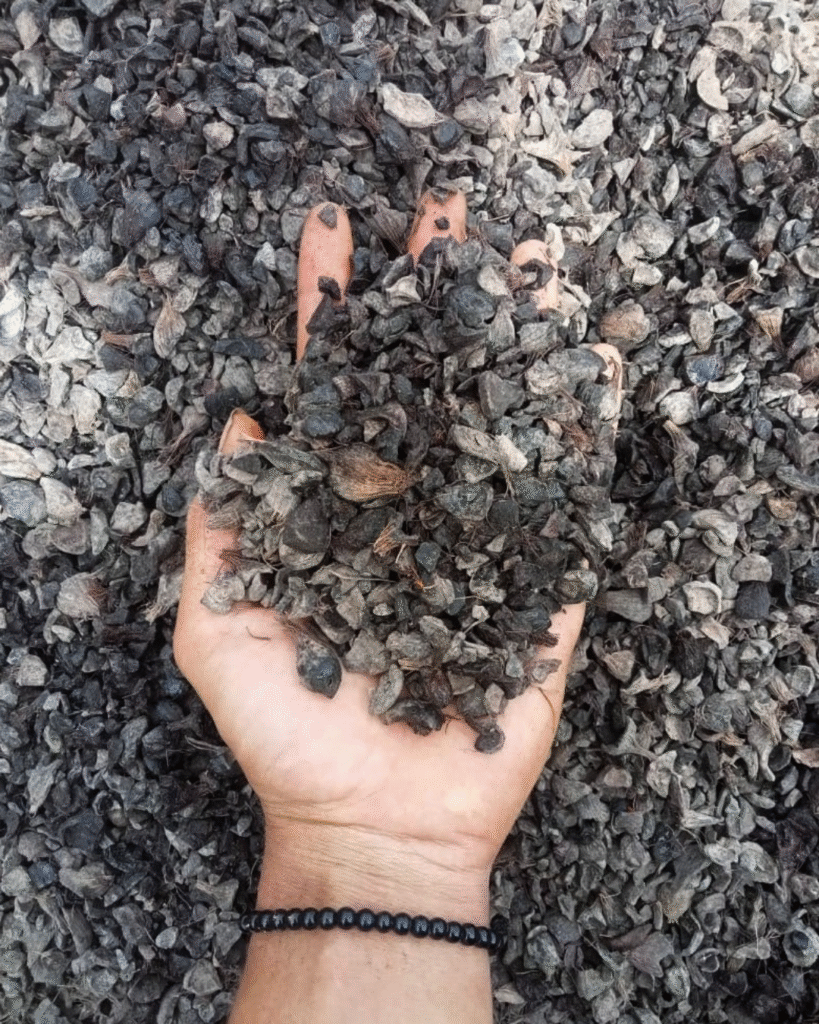 jual cangkang sawit grosir bangka belitung