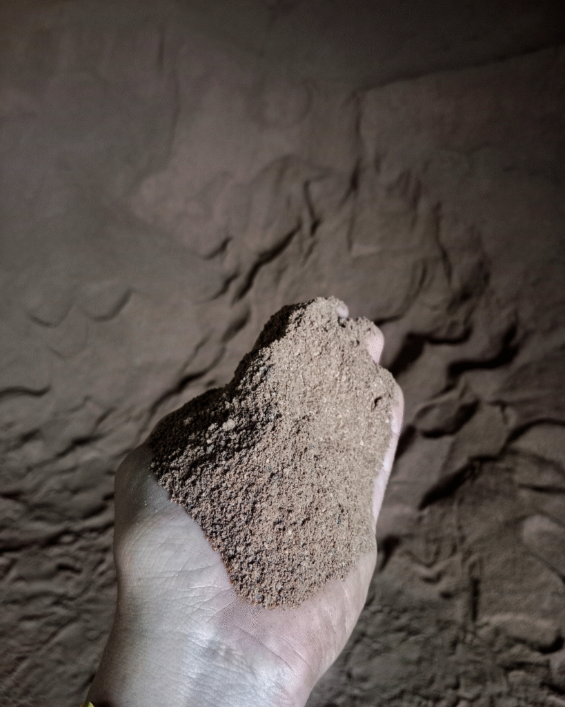 supplier bungkil sawit halus indonesia