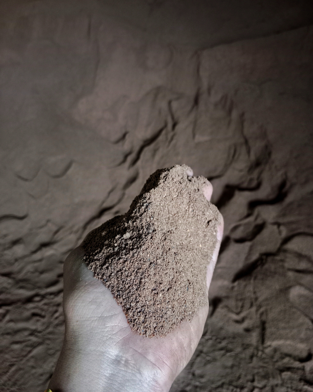 supplier bungkil sawit halus indonesia