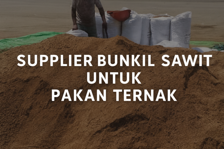 Supplier Bungkil Sawit untuk pakan ternak cv cipta alam niaga