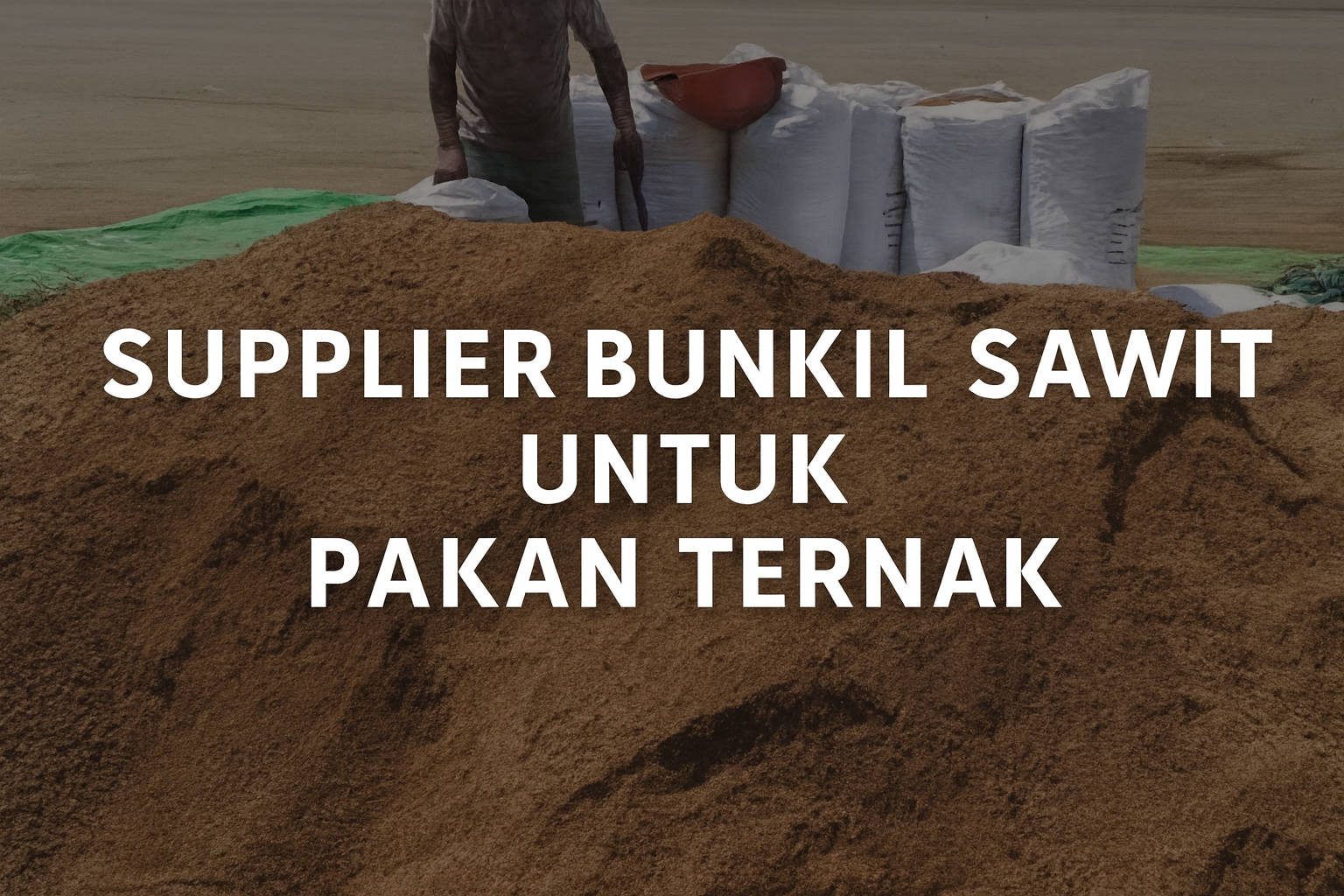 Supplier Bungkil Sawit Untuk Pakan Ternak – Solusi Nutrisi Berkualitas dari Indonesia